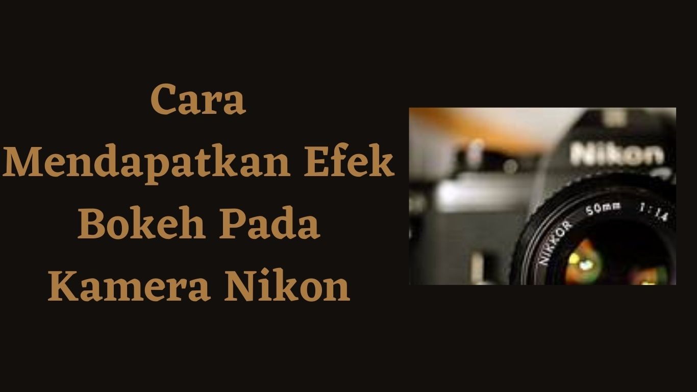 Cara Mendapatkan Efek Bokeh Pada Kamera Nikon